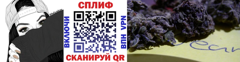 МАРИХУАНА ГИДРОПОН  Рославль 